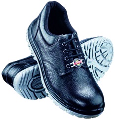 SA-1210 Elegant Safety Shoe